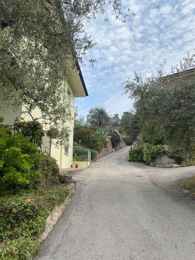 Oleander House Apartments Torri Del Benaco Exterior foto